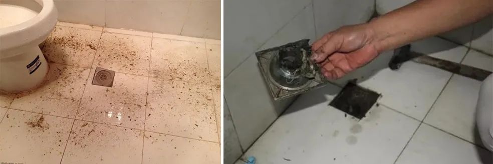 家里衛生間老有異味，潔匠凈化教您如何解決難聞的臭味.jpg